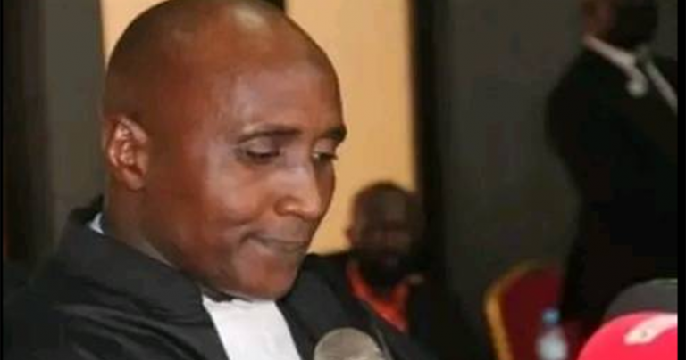 Dossier Air Guinée : les avocats de Dalein portent plainte contre Aly Touré de la CRIEF et Cie