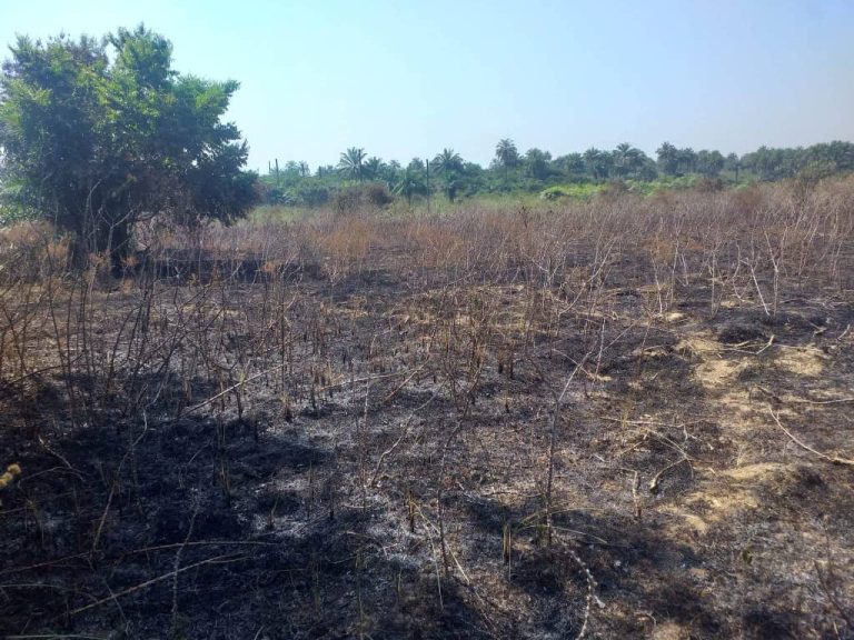 Forécariah/ Un agriculteur perd tout son investissement dans un incendie