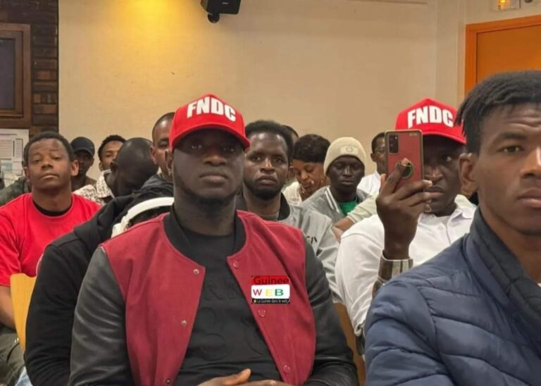Arrestation de Foniké et de Billo Bah : FNDC-France projette une manifestation les jours à venir…