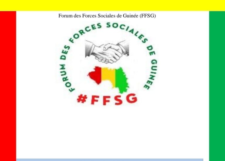 Cas de Foniké Menguè et Billo Bah : la déclaration du procureur général « n’a fait qu’exacerber la douleur »(déclaration)