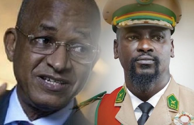 L’UFDG annonce que ‘’Dalein arrivera bientôt en Guinée et sera président de la République’’