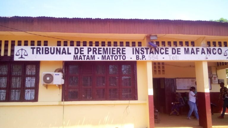 Trafic de cocaïne : Mamadou Baldé condamné à cinq ans de réclusion criminelle